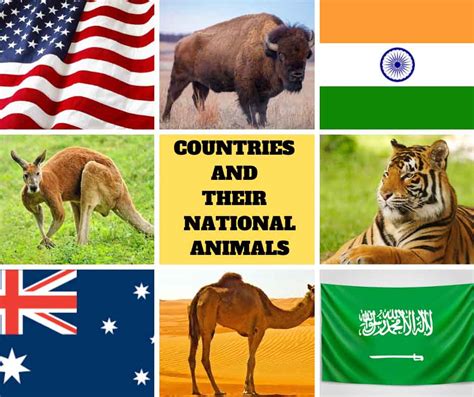 Symbols Of Countries National Animal