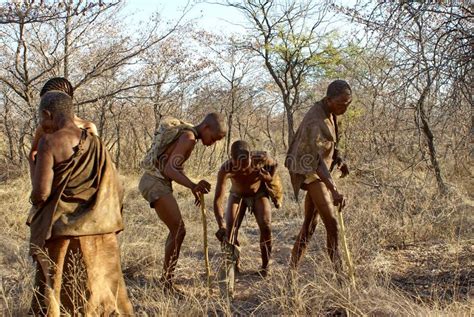 Khoisan Men Editorial Photography Image Of Botswana 139416572