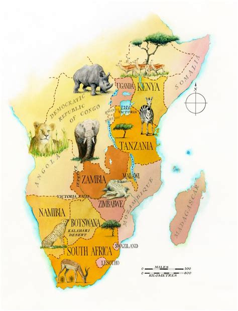Safari Map Hand Made Maps Ltd Illustrated Map South African