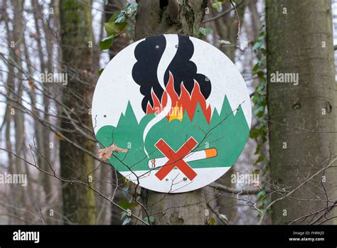 Peligro de incendio en el bosque fotografías e imágenes de alta