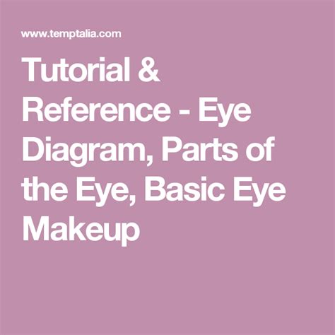 Where To Apply Eyeshadow Eye Makeup Diagram 2020 Basic Eye