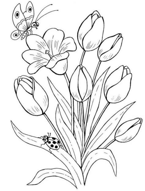 Sketsa gambar bunga melati gambar mewarnai bunga matahari sumber : 39+ Gambar Sketsa Bunga Indah, Sakura, Mawar, Melati ...
