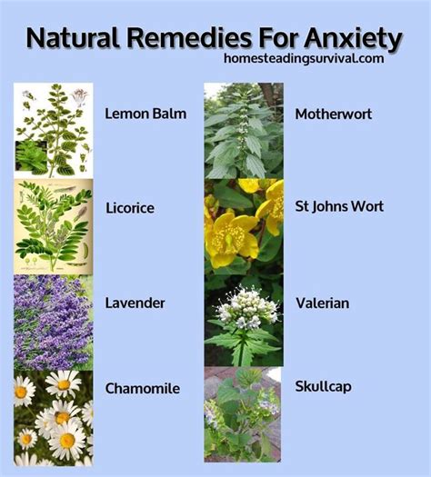 Understanding and treating anxiety in autism summarizes the current perspectives and research on anxiety in autism including neurology, medical social pressures. Natural Remedies For Anxiety | Health Benefits | Pinterest