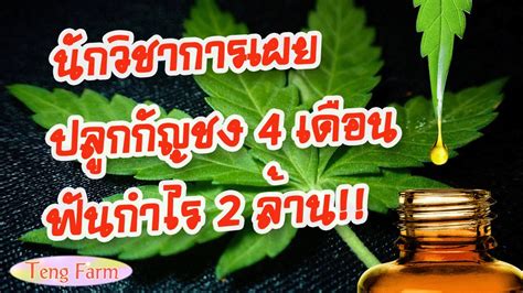 วันนี้ (29 มกราคม 2564) ภก.อนันต์ชัย อัศวเมฆิน ประธานคณะกรรมการขับเคลื่ อนนโยบายกัญชาเสรี. นักวิชาการเผยปลูกกัญชง 4 เดือน กำไร 2 ล้าน 😲 ต้องรู้เทคนิค ...