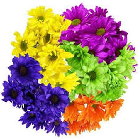 We offer same day flower delivery when you order by 12:00 pm local bismarck time monday through friday and 10:00 am on saturday. Colorful Loose Flowers Bismarck, ND Florist - Rustic Petals