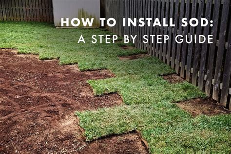 Before dethatching your lawn, there are a few tips that you should follow. How To Install Sod: A Step By Step Guide — Coob's Lawn Care