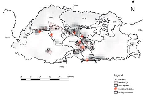 Figure 1 From The Spatial Distribution And Population Density Of Tigers