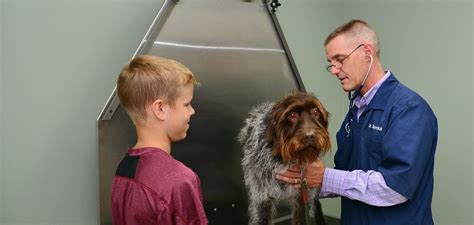 The scores are not used in the best hospitals rankings. Veterinarian in Crystal Lake Illinois | McHenry County's ...