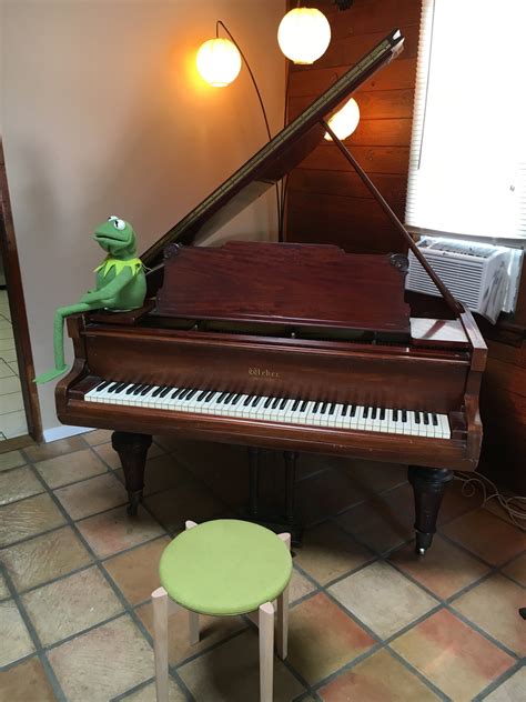 Kermit The Frog Epic Rap Battles Of History Wiki Fandom Powered By Wikia