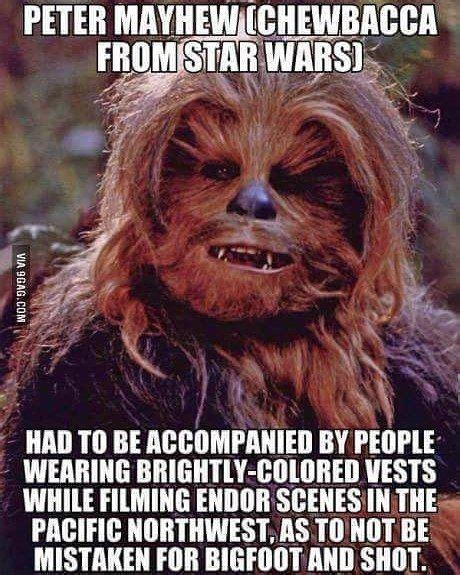 Starwars Chewbacca By Exceptionalnerd With Images Star Wars Humor