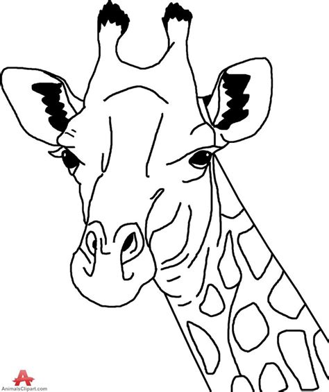 Giraffe Clipart Head And Neck Pencil And In Color Giraffe Clipart