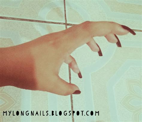 Long Nails Ayesha S Super Sexy Natural Long Nails