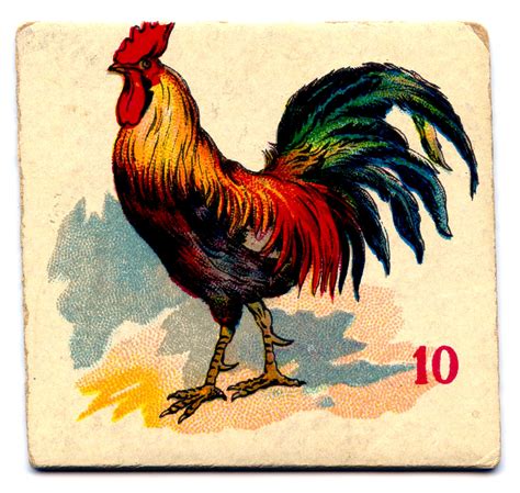 17 Rooster Images The Graphics Fairy