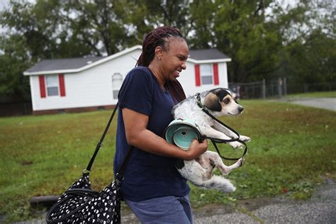 Hurricane Florence Pet Rescues In Photos The Atlantic