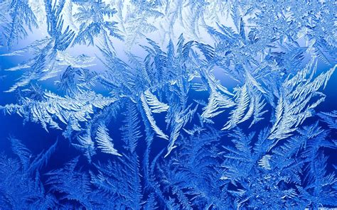 Frozen Ice Flowers Window Glass Wallpapers Wallpaper Cave