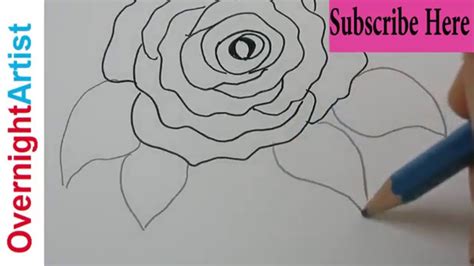 Collection of easy drawings for kids (31) draw a fox for kids flower colouring pictures for kids Kids Art - Art For Kids - Easy Rose Drawing - YouTube