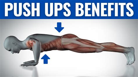 PUSH UP BENEFITS What Will Happen If You Start Doing Push Up Every