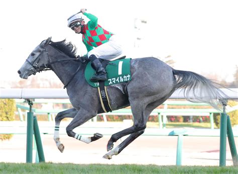 Последние твиты от 朴葵姫(パク・キュヒ) (@kyuheeguitar). 【フェアリーS】ディープインパクト産駒のスマイルカナが重賞 ...