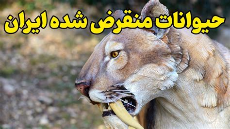 حیوانات منقرض شده و در خطر انقراض ایران youtube