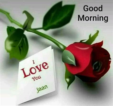 We did not find results for: 50+ New Good morning photos HD Download • Hindipro