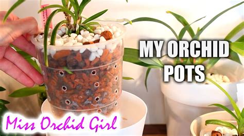 Orchid Pots And Containers Orchid Setup Explained Youtube