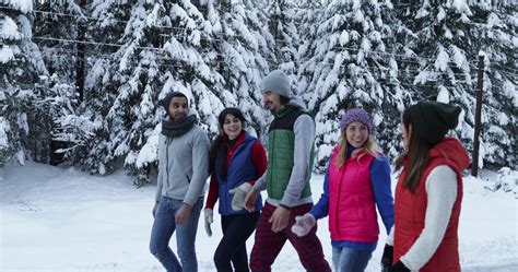 Group Of People Winter Snow Forest Walking Smiling Friends Talking In