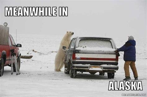 It operates in html5 canvas, so your images are created instantly on your own device. "Meanwhile In" Hilarious Memes (48 pics) - Izismile.com