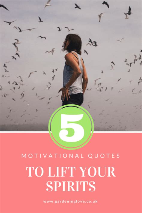 5 Motivational Quotes To Lift Your Spirits Motivational Quotes