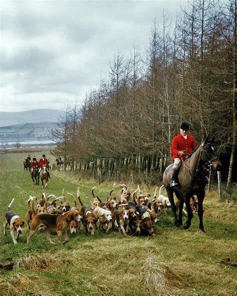 1970s Master Of Foxhounds In Red Jacket Painting By Vintage Images