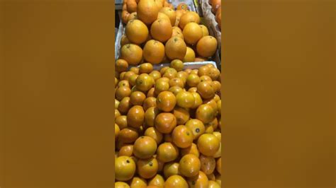 Sweet Orange🍊 Kiat Kiat Citrusfruit Youtube