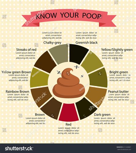 Poop Stool Color Changes Color Chart庫存向量圖（免版稅）611240867 Shutterstock