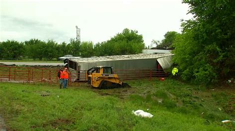 Neighbors Wrangle Escaped Cattle After Semi Turns Over Near Catoosa
