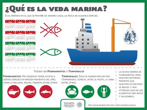 ¿qué Es La Veda Marina Secretaría De Agricultura Ganadería