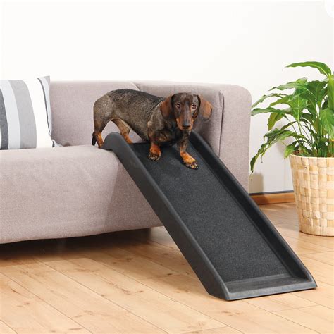 Perfect for older cats and dogs. Trixie Safety 39" Pet Ramp & Reviews | Wayfair