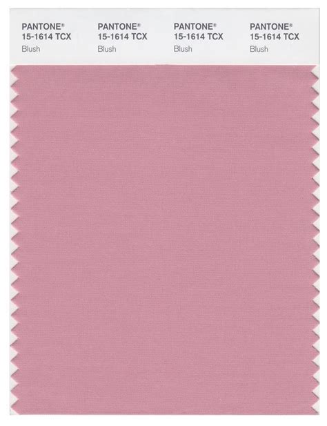 Pantone Smart 15 1614 Tcx Color Swatch Card Blush Magazine Cafe