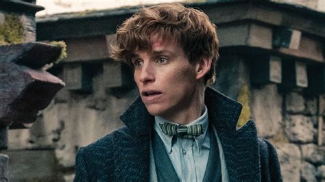 Harry Potter Producers Almost Made Fantastic Beasts Into A Newt Documentary