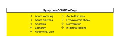 Hge In Dogs Symptoms Causes And Treatment Cohaitungchi Tech