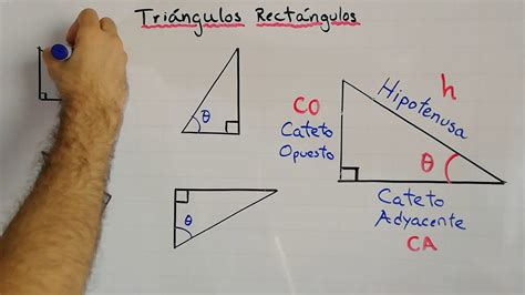 Partes De Un Triangulo Rectangulo Trimapa