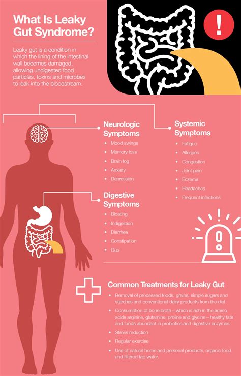 Leaky Gut Syndrome What It Is And What To Do About It The Amino Company