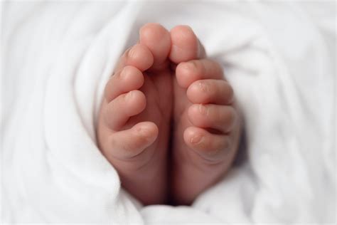 Babies Feet Selective Focus Photo · Free Stock Photo