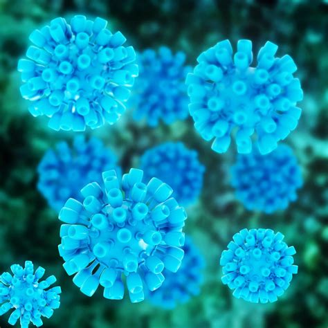 The virus can cause both acute and chronic hepatitis infection, ranging in severity from a mild illness lasting a few weeks to a serious, lifelong. Undiagnosed Chronic Hepatitis C Virus Infection Found ...