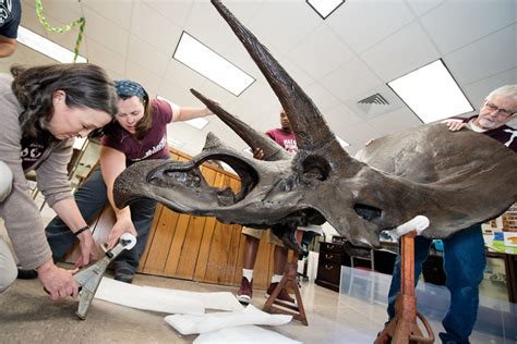 Triceratops Teamwork Mississippi State University