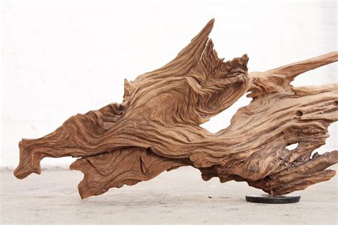 Driftwood Sculpture Organic Modern At 1stdibs
