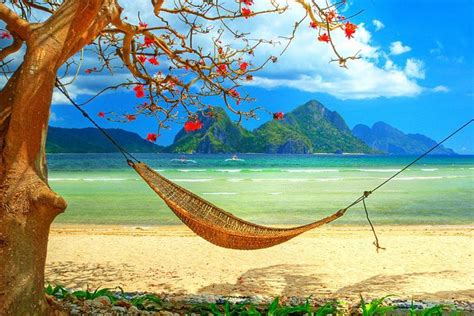 Vintage beach photos vintage pictures vintage photographs vintage beach photography stripped one piece swimsuit fotos strand foto fun retro mode summer photos. tropical beach scene with hammock Wall Mural Wallpaper ...