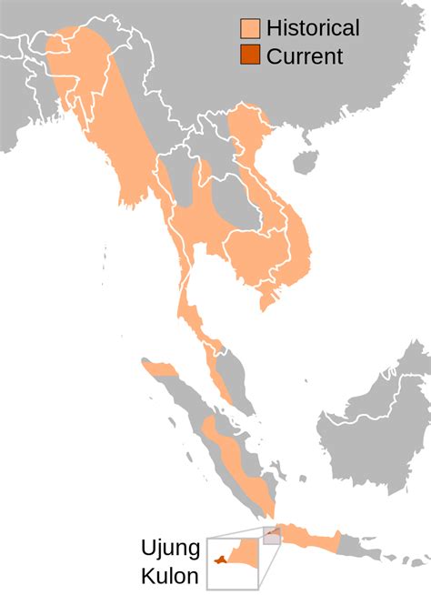 javan rhinoceros (rhinoceros sondaicus) | range | Javaanse neushoorn