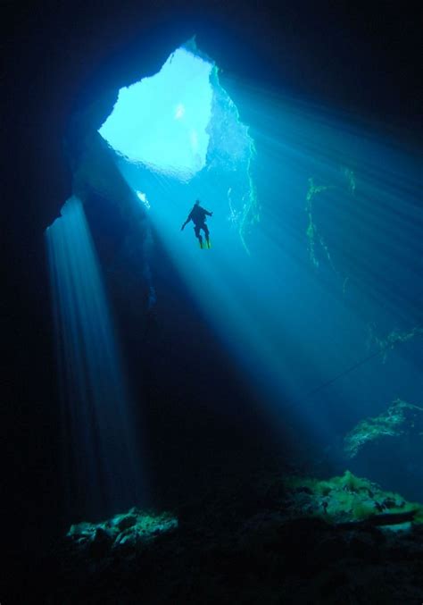 Cave Diving Underwater World Underwater Caves Underwater