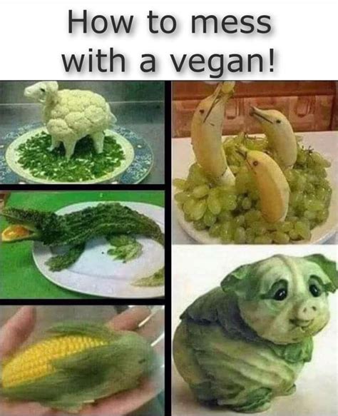 Vegetarian Jokes Memes Freeloljokes