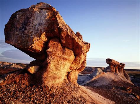 A Guide To Arizonas Petrified Forest National Park