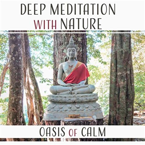 Deep Meditation With Nature Oasis Of Calm Relaxing Natural Ambiences