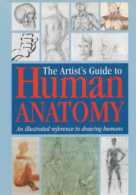 The Artists Guide To Human Anatomy An Illustrated Reference To Drawing